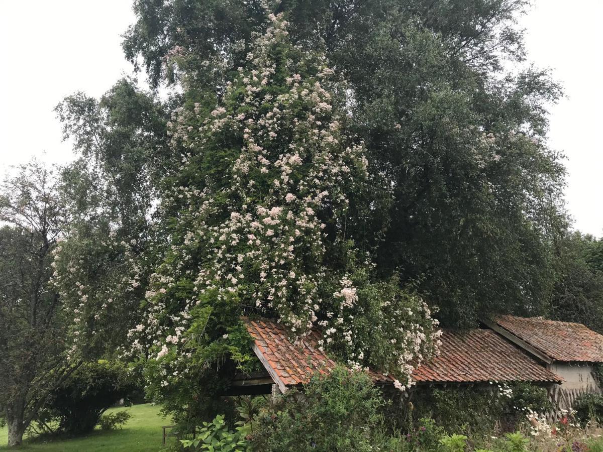 Maintenay Le Jardin Sauvage B&B 외부 사진