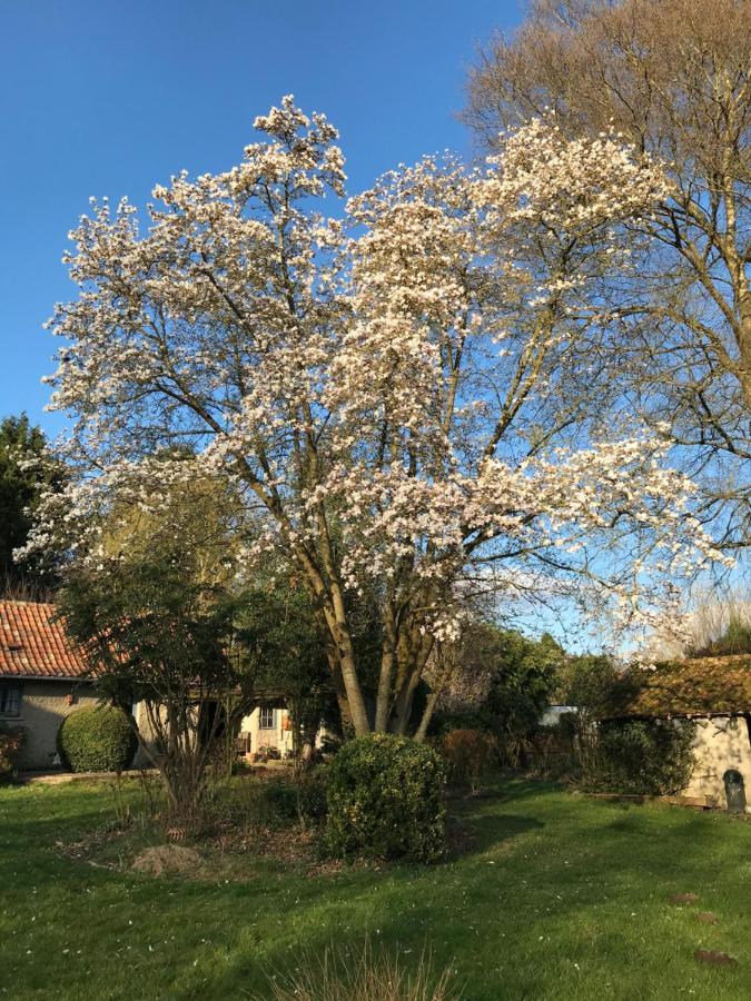 Maintenay Le Jardin Sauvage B&B 외부 사진