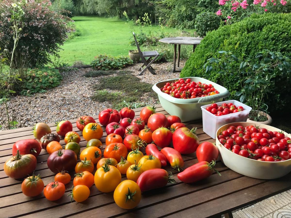 Maintenay Le Jardin Sauvage B&B 외부 사진