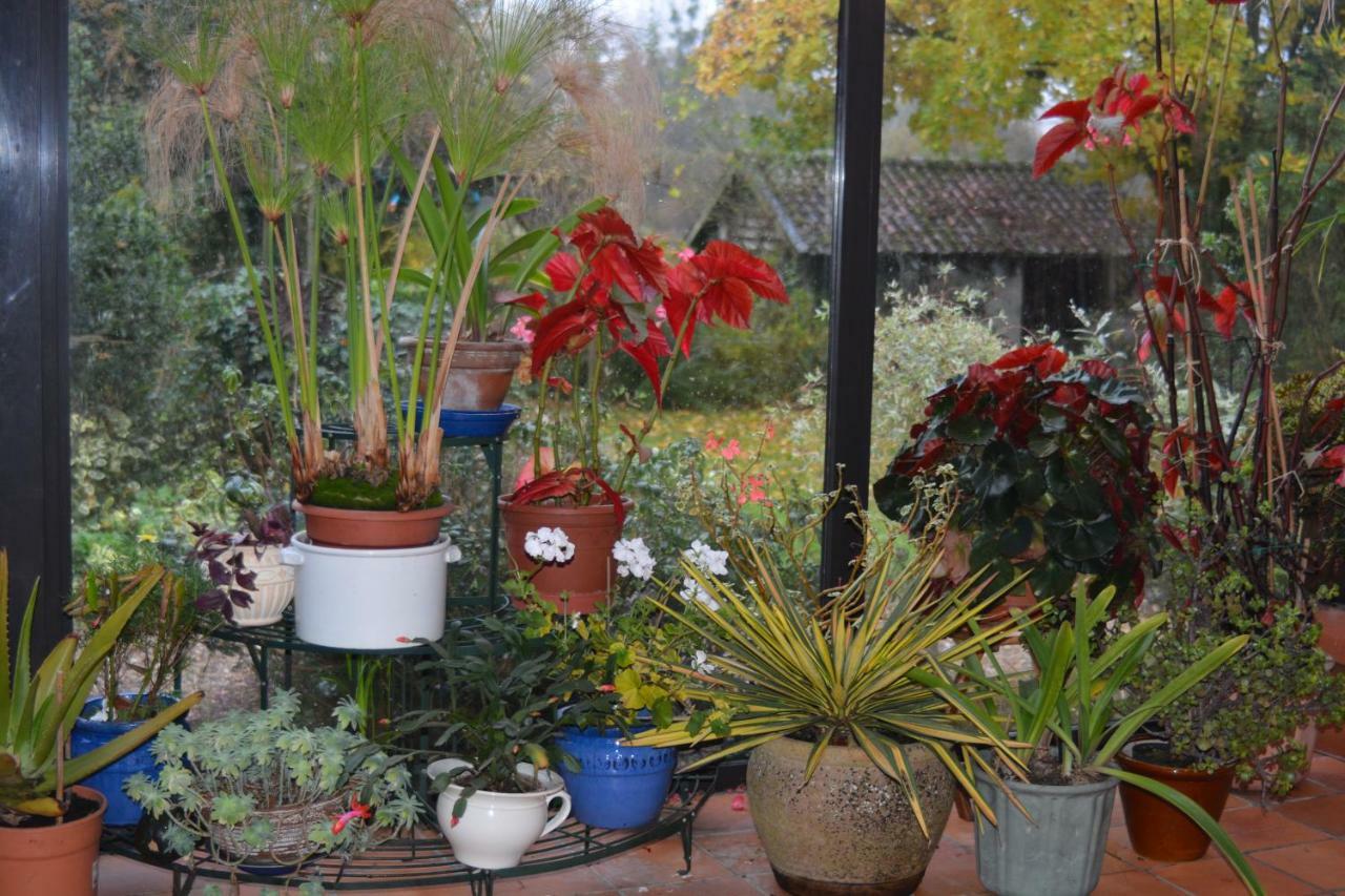 Maintenay Le Jardin Sauvage B&B 외부 사진